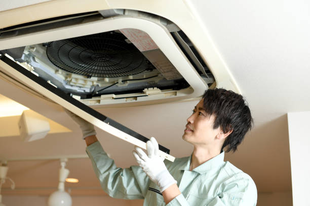 Best Dryer Vent Cleaning Services  in Fountain Hills, AZ